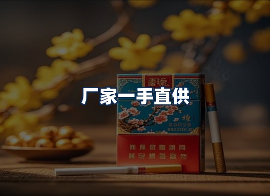专业团队办公环境